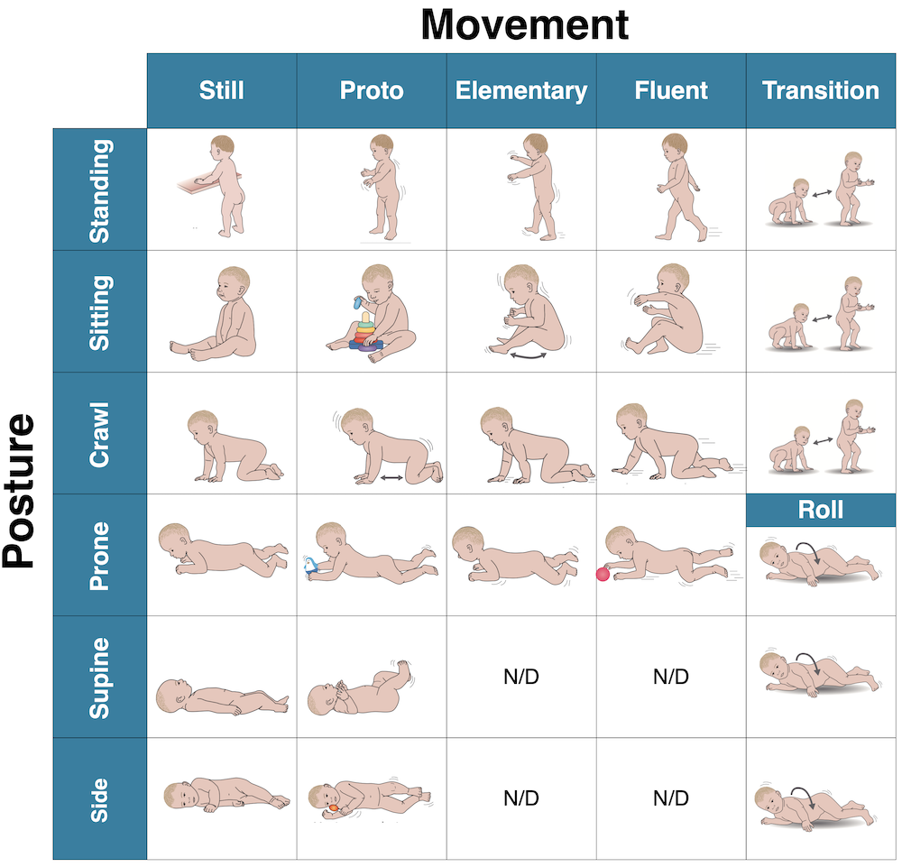MAIJU annotation scheme for the posture and movement classifiers.
